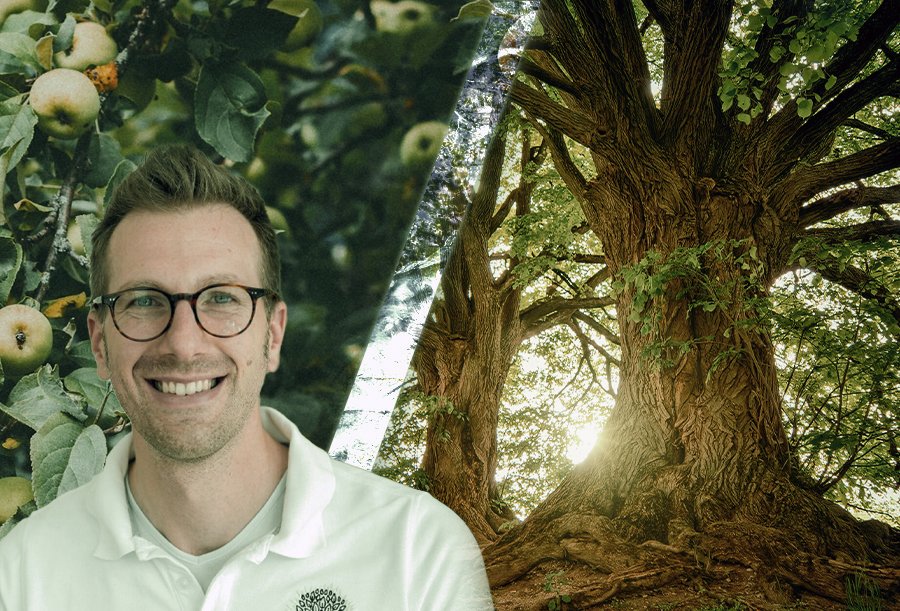 The Plant's Weapon: Between Fruits and Lectins