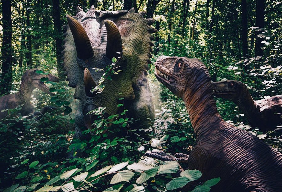 Gruppenbezogene Menschenfeindlichkeit aus Sicht der Evolution