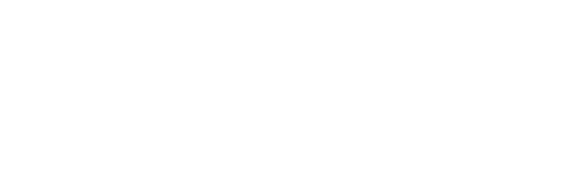 IQVerse Logo (White)